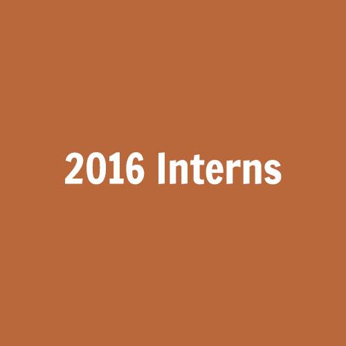 2016 Interns